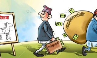 विकास निर्माणको काम   :  'लामिताले  सिँचाइ,  कामै  नगरी  भुक्तानी  गरेपछि .........' 