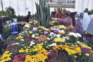 दीपावली अगाडी फूलकाे प्रदर्शनी : ' अवलोकन गर्दै सर्वसाधारण '