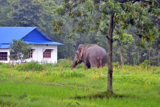 बर्दियाका मतदानको चाहना  : " बाढी र जङ्गली जनावरको अतिक्रमण समाधान " 