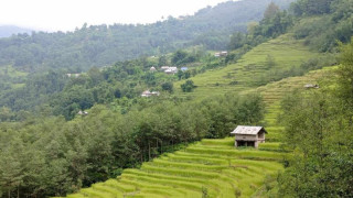 झन्डै पाँचलाख घर खाली, भविष्य सङ्कटमा   : " मानिस कहाँ गए ? "