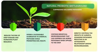 Agriculture based on Natural Probiotic rejuvenates the world