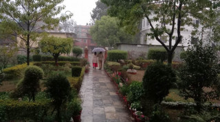 यस बर्षको मनसुन  : ' पूर्वमा भित्रियो, उपत्यका भित्रन केही दिन लाग्ने'