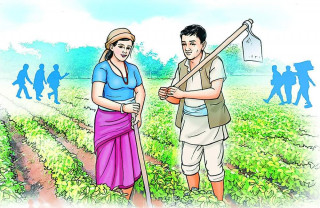 कृषिमा - ‘लगानी दशक’  : ' सरकारी, निजी, सहकारी तथा विकास साझेदारको लगानी'