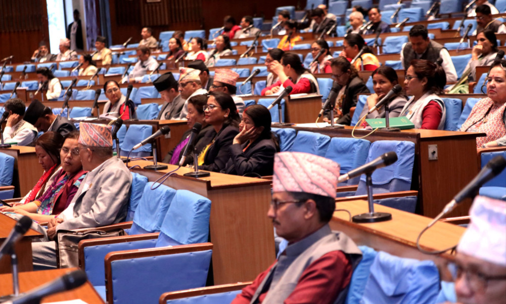 सभामुखको सदनलाई जानकारी : 'प्रतिनिधिसभा विषयगत समितिमा सदस्यकाे हेरफेर'