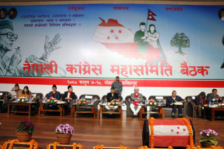 महासमितिबाट पारित दस्तावेज  :    " केन्द्रीय समितिमा पेश गर्ने  "