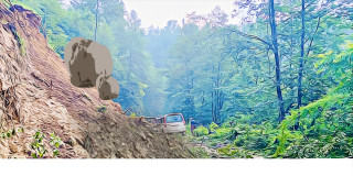 गोरखाको धार्चेमा  राती  पहिरो   : '  चारजना बेपत्ता, दुई घाइते "