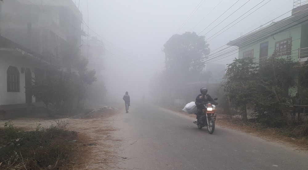 तराईमा दुई दिनदेखि हुस्सु र कुहिरो : ' चिसोले जनजीवन प्रभावित '