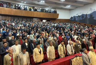 विशेष महाधिवेशन पक्षधर सभा : " साथीहरूको आग्रह नलल्कारौँ "