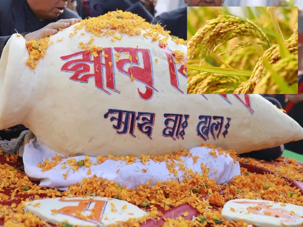 धान्य पूर्णिमा र योमरी पुन्हि पर्व : ' धानको पूजा गरी मनाइँदै '