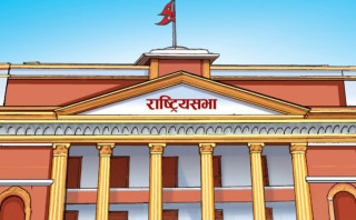 राष्ट्रियसभाका चार विषयगत समिति : ' सभापति चयन, कुनमा को ? '