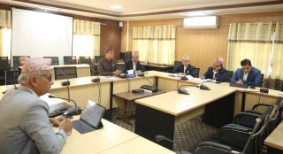 विद्यमान ब्यवस्था : कडाइ गर्ने सहमति - ' कानुन संशोधनको तयारी '