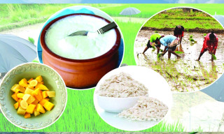 दही चिउरा खाएर असार १५ मनाइँदै  : ": किन खाईन्छ दही चिउरा "