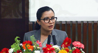 कानुन निर्माण तथा सुधार : ' उच्चस्तरीय समिति बन्यो '