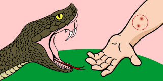 विभिन्न विपद्का घटना :  ' ३ महिनामा १९३ जनाको मृत्यु  '