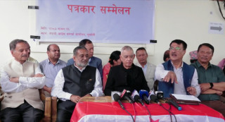 ५५१ सदस्यीय मूल आयोजक समिति : ' संयोजकमा डा. शशांक '